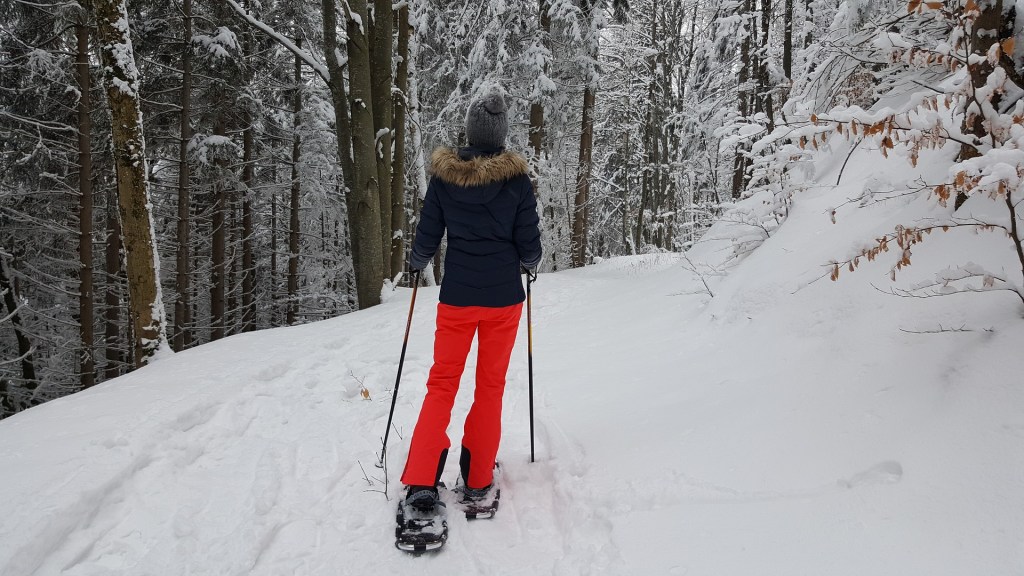 snowshoeing advice, winter sports in MI's Upper Peninsula, holistic wellness, holistic practices, holistic businesses physical fitness