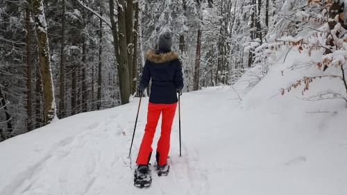 snowshoeing advice, winter sports in MI's Upper Peninsula, holistic wellness, holistic practices, holistic businesses physical fitness